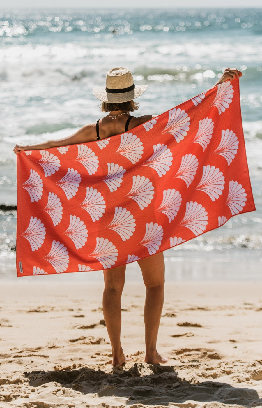 Sea Shells in Coral